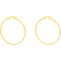 orecchini cerchio gold