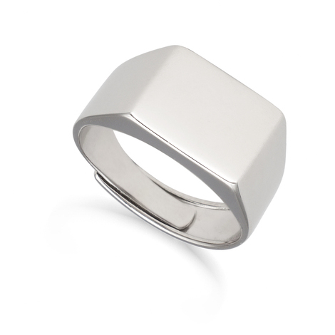 Anello chevalier da uomo in argento 925