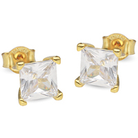 cartella 6x6 quadro pl/gold
