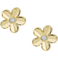 fossil jewelry earring val women