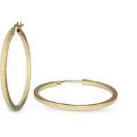 orecchini a cerchio in argento 925 gold