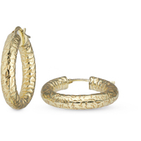 orecchini a cerchio in argento 925 gold