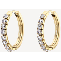 orecchini in acciaio desideri a cerchietto zirconi