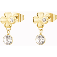 orecchini in acciaio portafortuna brosway 