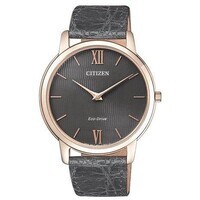 orologio solo tempo uomo citizen stiletto ar1133-31h